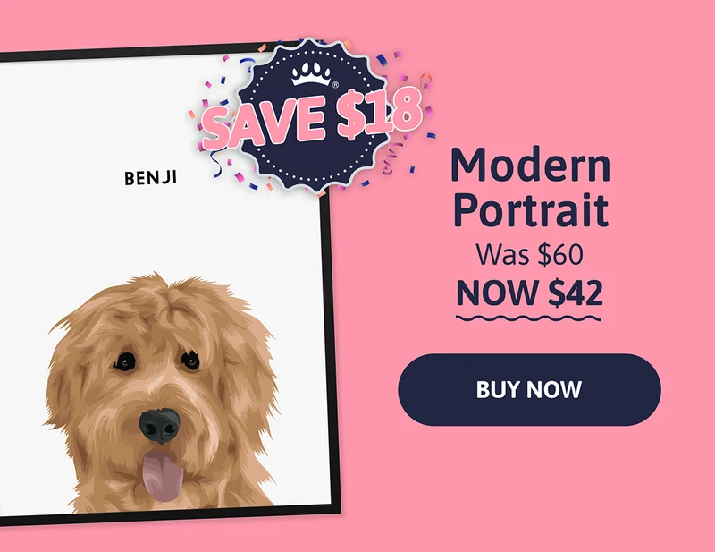 Modern Pet Portrait. Was $60. NOW $42