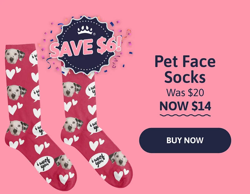 Pet Face Socks. Was $20. NOW $14