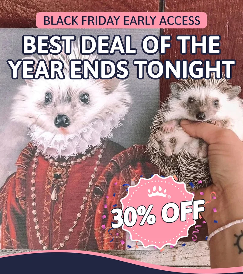 Black Friday Early Access. Best Deal of the year ends tonight