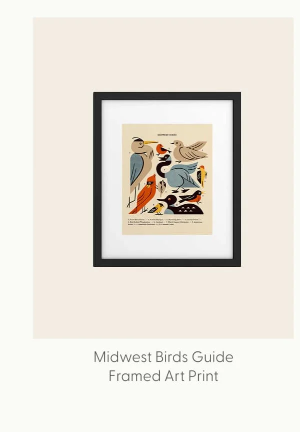 Midwest Birds Guide Framed Art Print