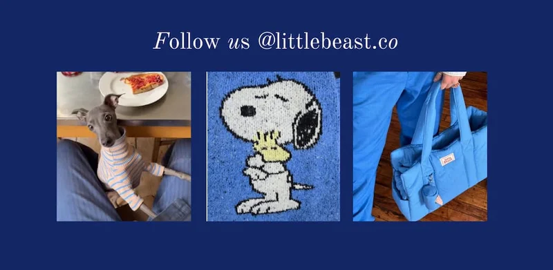 Follow us on Instagram