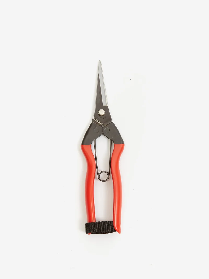 Image of Niwaki Gardnening Snips