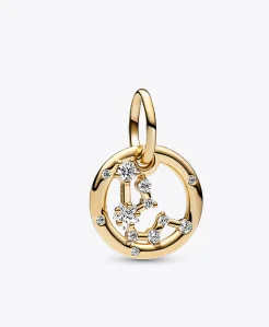 Aquarius Zodiac Dangle Charm