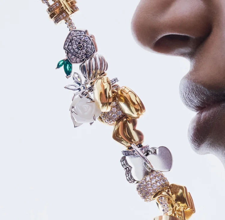 Pandora Moments charms