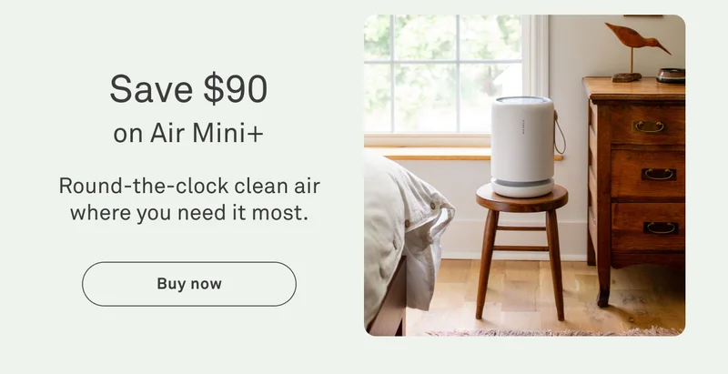 Air Mini+