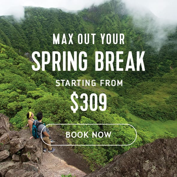 MAX OUT YOUR SPRING BREAK