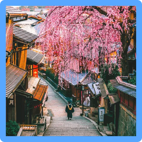 Image description: A small pedestrian street with steps and a flowering cherry blossom tree in Kyoto