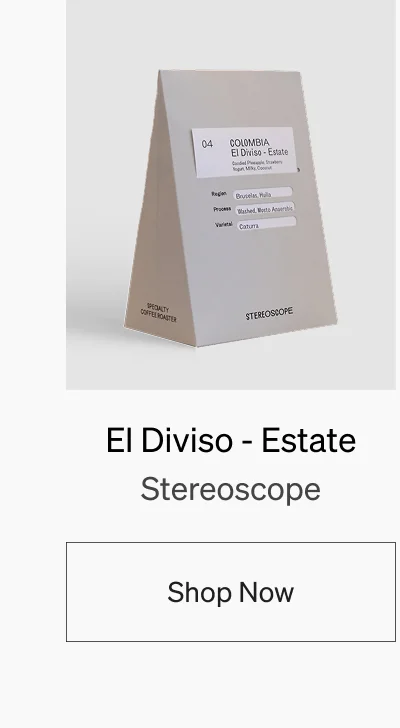 El Diviso - Estate