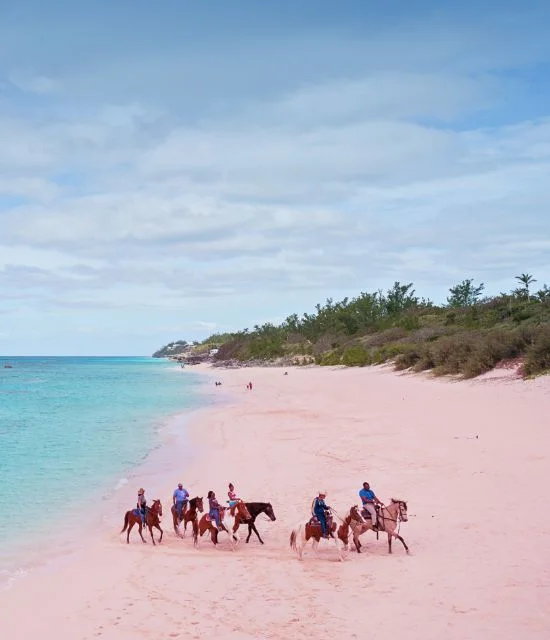 Cruise to Bermuda From NYC (Brooklyn) – Click to View Itineraries & Book Now