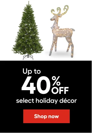 Up to 40% OFF select holiday decor.