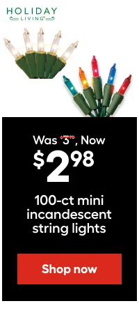 HOLIDAY LIVING. Was $3.98, Now $2.98. 100-ct mini incandescent string lights.