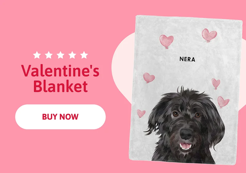 Valentine's Blanket