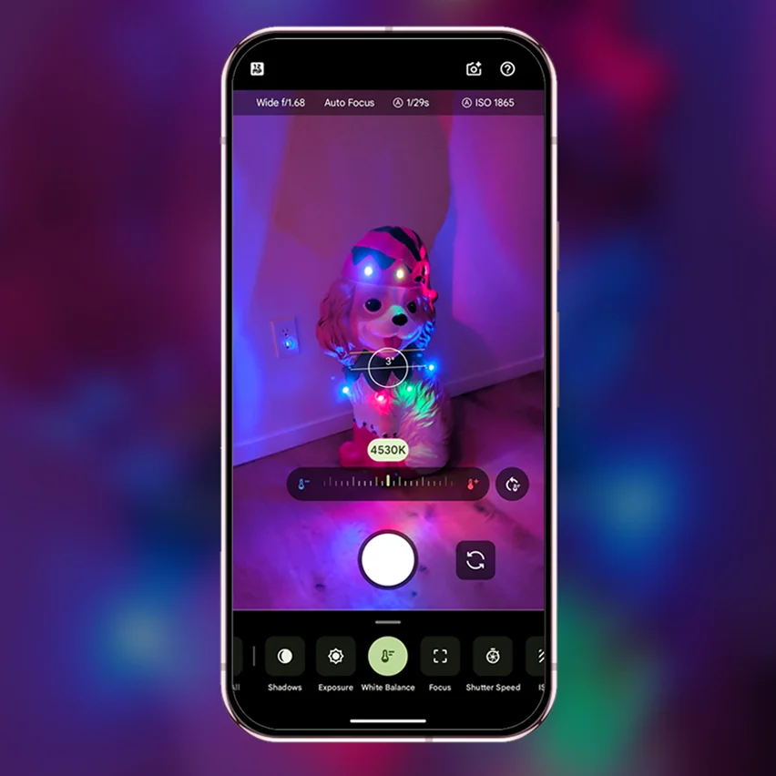 A smartphone screen displaying a camera interface focused on a ceramic dog statue decorated with colorful LED holiday lights, with manual camera settings visible.