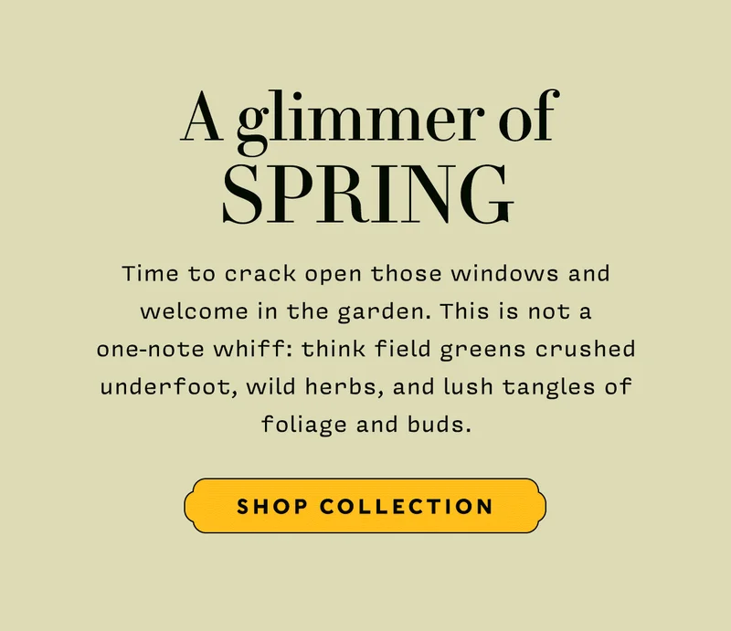 A GLIMMER OF SPRING     Time to crack open those windows and welcome in the garden. This is not a one-note whiff: think field greens crushed underfoot, wild herbs, and lush tangles of foliage and buds.       SHOP COLLECTION