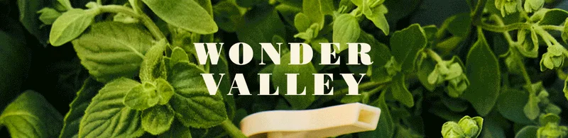 WONDER VALLEY