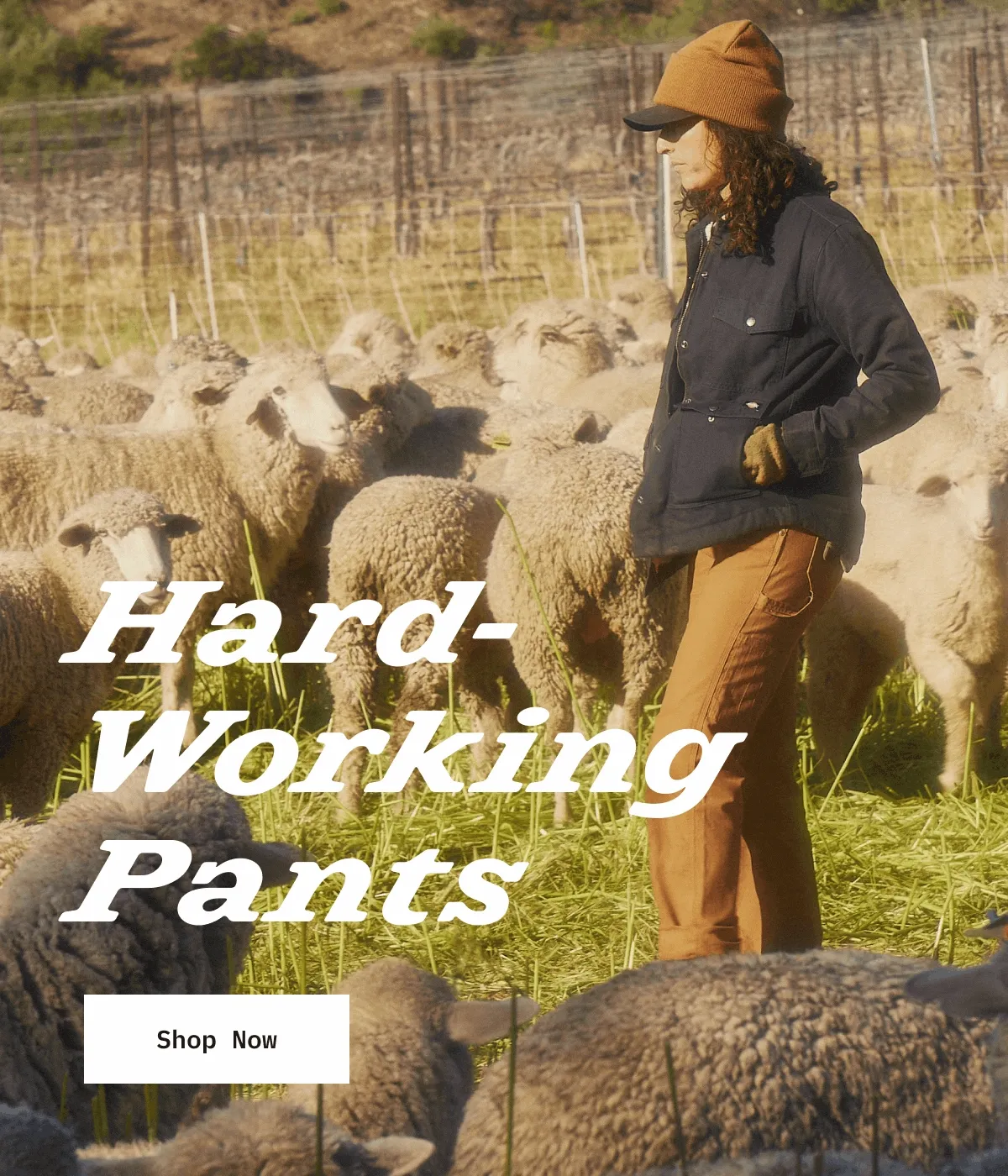 Hard-Working Pants. Shop Now.