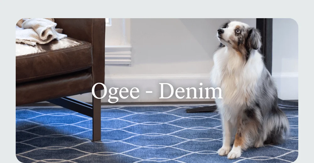 Ogee - Denim