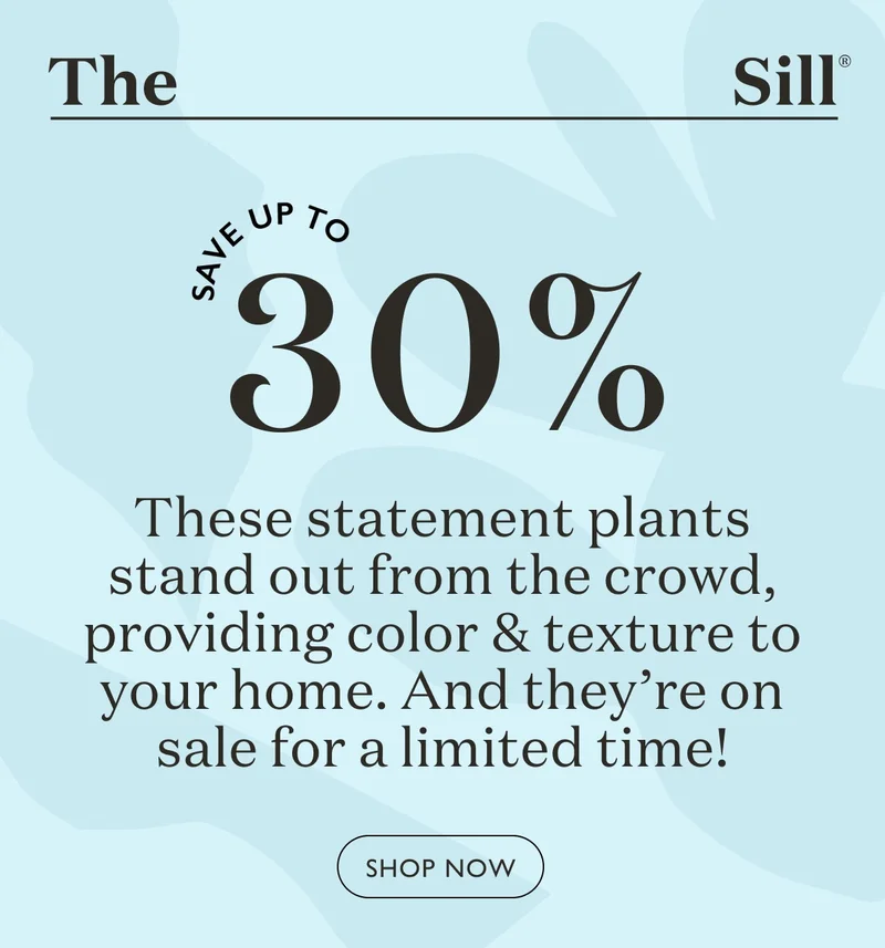 These statement plants stand out from the crowd, providing color and texture to your home. And they're on sale for a limited time!