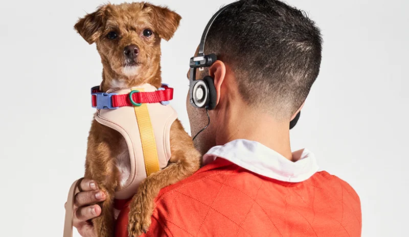 dog with guy listening to headphones