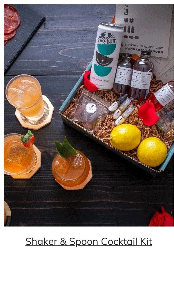 Shaker & Spoon Cocktail Kit