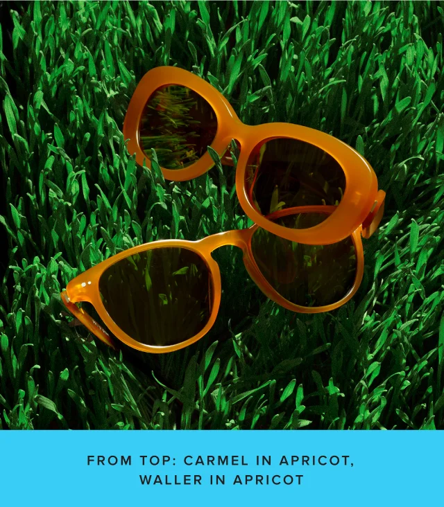 Carmel and Waller in Apricot