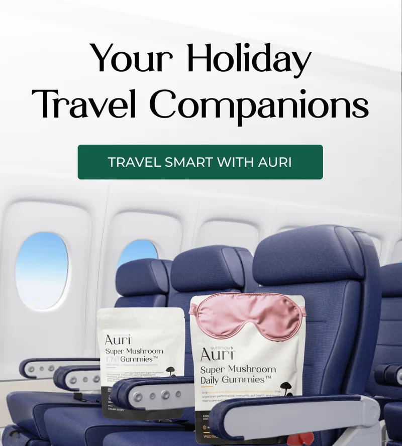Your Essential Travel Companions