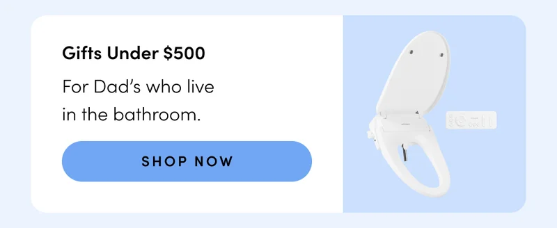 GIFTS UNDER $500