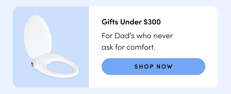 GIFTS UNDER $300