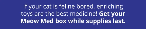 If your cat is feline bored, enriching toys are the best medicine! Get your Meow Med box while supplies last.