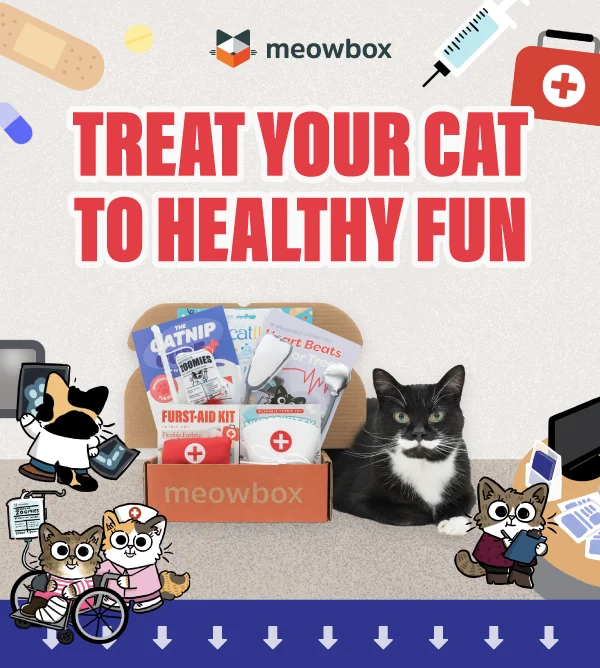 Treat your cat to healthy fun! Image of the Meow Med meowbox (featuring toys like the Furst Aid Kit, Catnip Cure IV Wand, Heart Beats for Treats catnip toys and more) next to a black white spotted cat. In front of a hospital illustration scene.