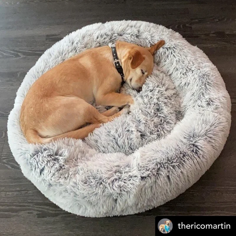 Image of Mr. Peanut's 23" OrthoPlush® Pet Bed - Gray Two Tone