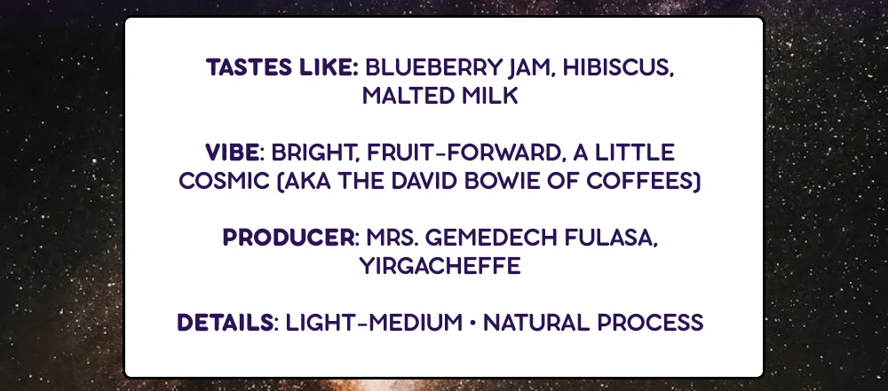 Space Cowboy Profile: Tastes like: Blueberry jam, hibiscus, malted milk. Vibe: Bright, fruit-forward, a little cosmic (aka the David Bowie of coffees). Producer: Mrs. Gemedech Fulasa, Yirgacheffe. Details: Light-Medium • Natural Process