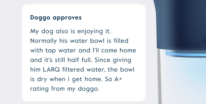 My dog also is enjoying it. Normally his water bowl is filled with tap water and I'll come home and it's still half full. Since giving him LARQ filtered water, the bowl is dry when i get home. So A+ rating from my doggo.