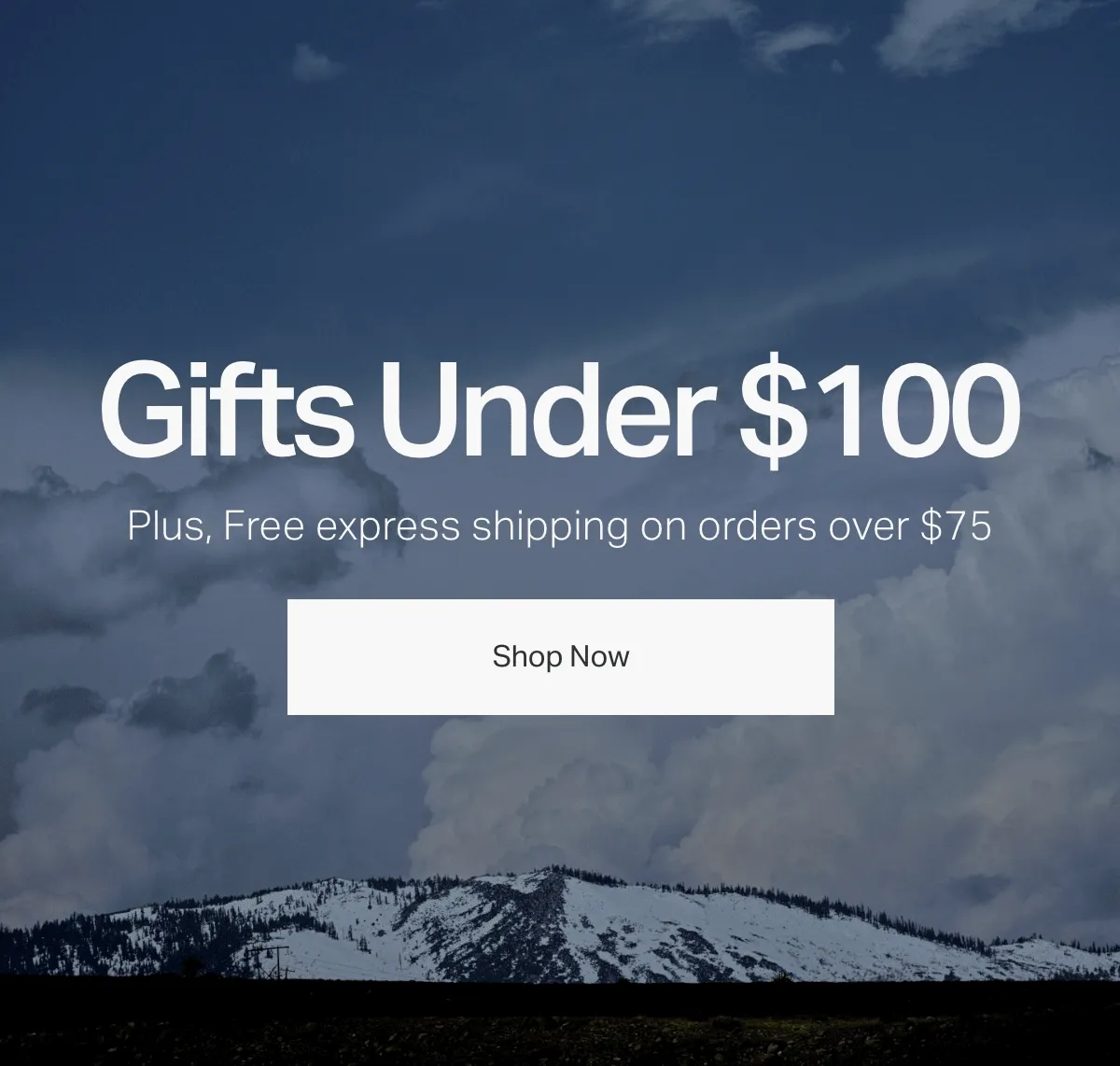 Gifts Under $100