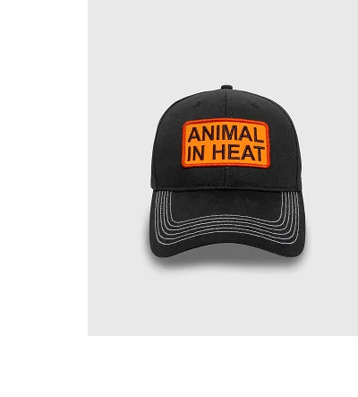 HEAT SNAPBACK