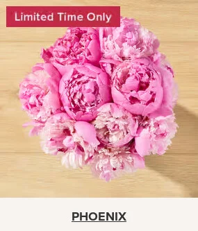 Flowers At a Great Price