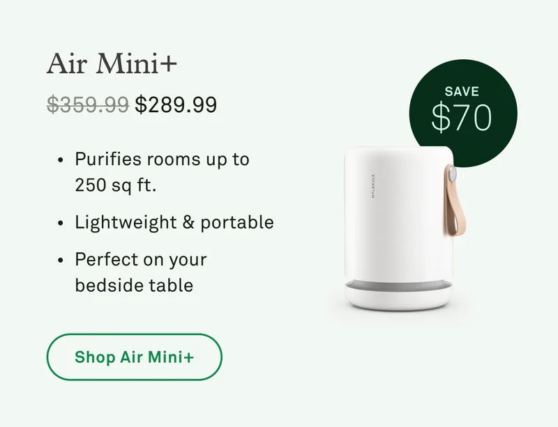 Air Mini+