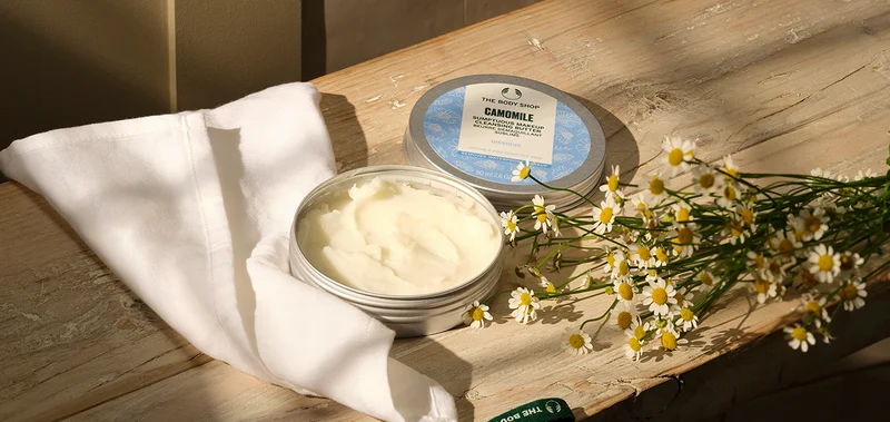 Camomile