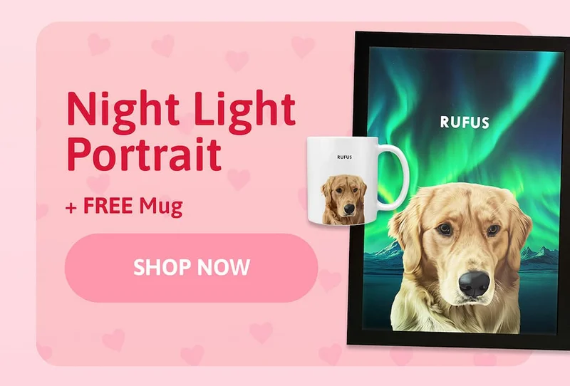 Night Light Pet Portrait + FREE Mug