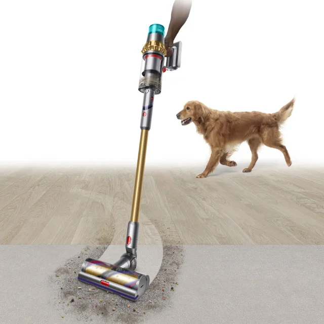 Dyson V15 Detect Absolute vacuum cleaning hard floors to carpet and a dog in the background