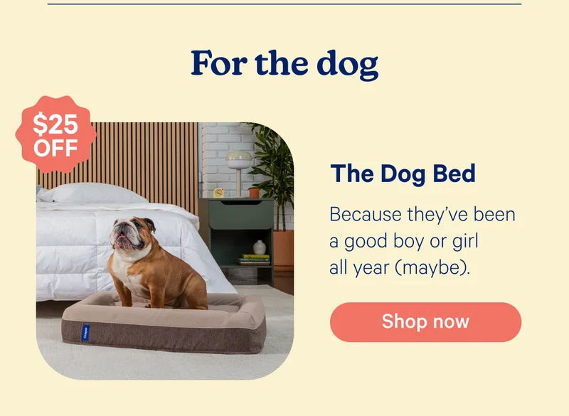 For the dog