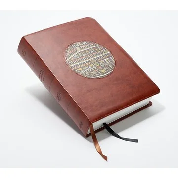 Lifeway Holy Land Illustrated Bible with Imagery & Maps
