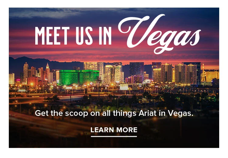 MEET US IN VEGAS | LEARN MORE