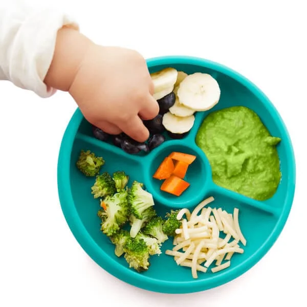 Image of Silicone Divided Plate