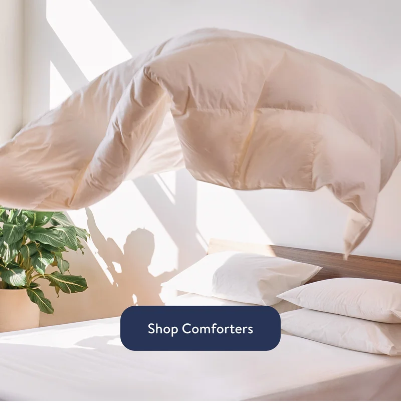 Shop comforters