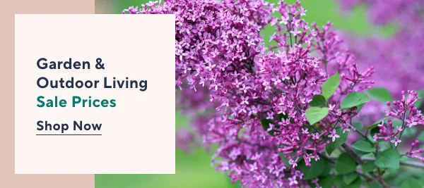 Garden & Outdoor living sale