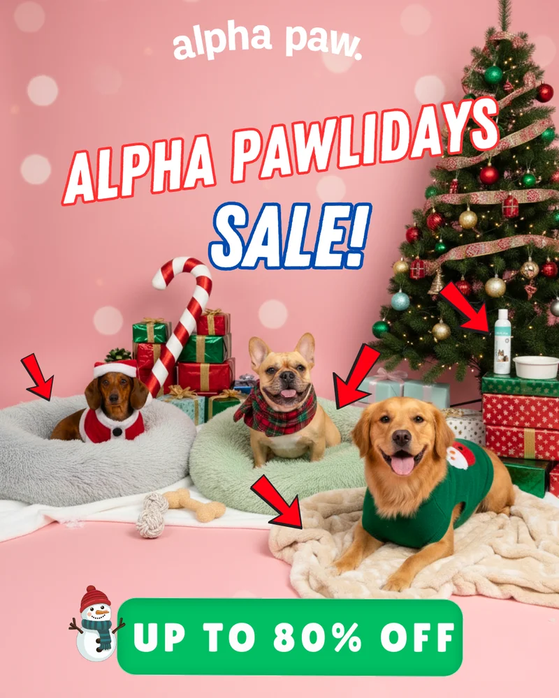 Happy Pawlidays