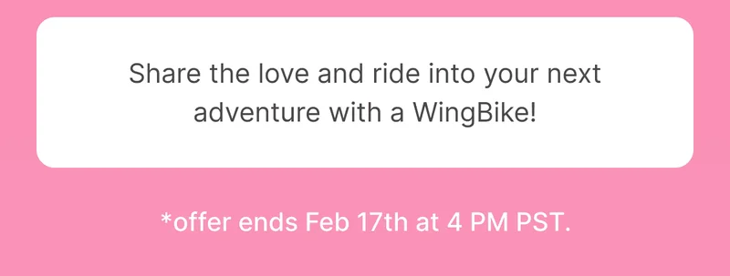 Share the love and ride into your next adventure with a WingBike!