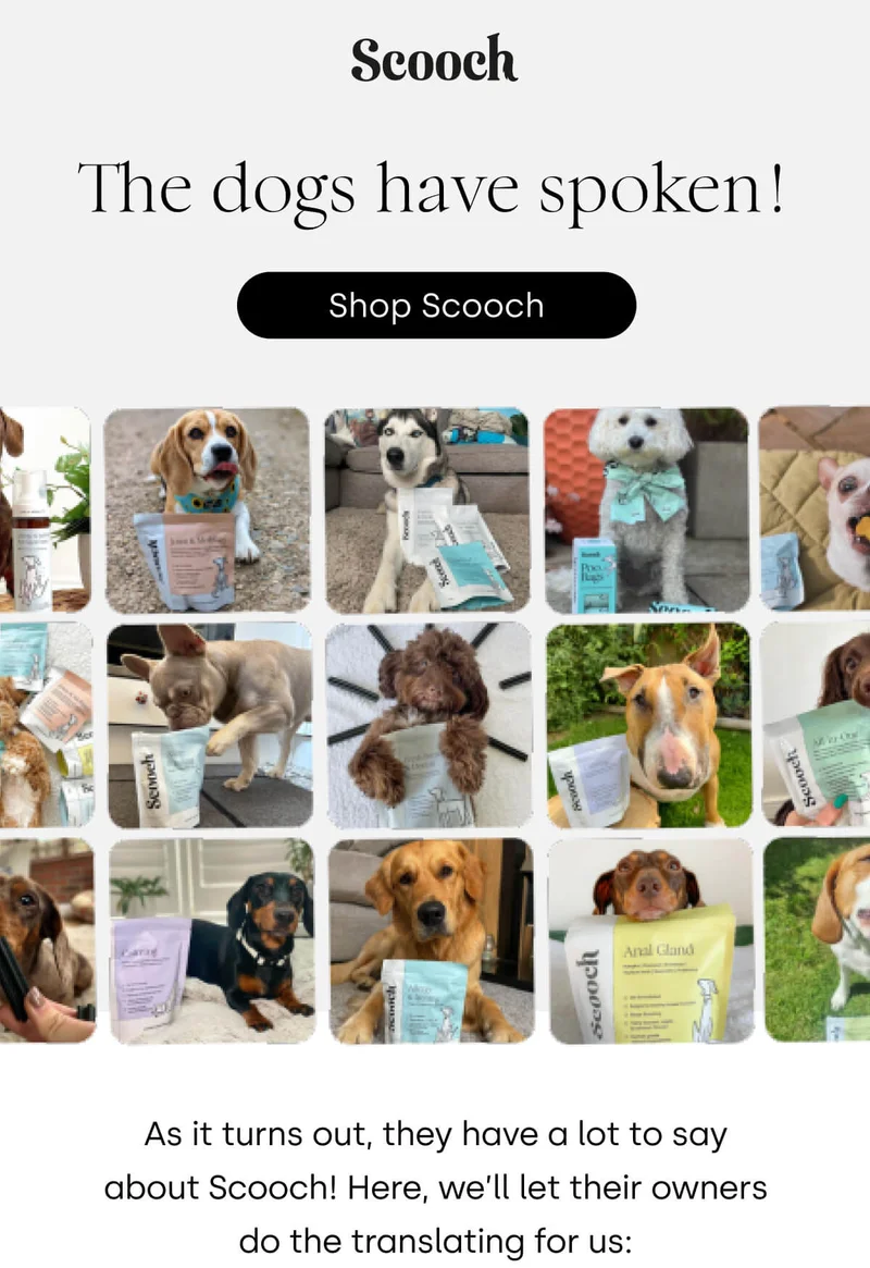 The dogs have spoken! - Shop Scooch