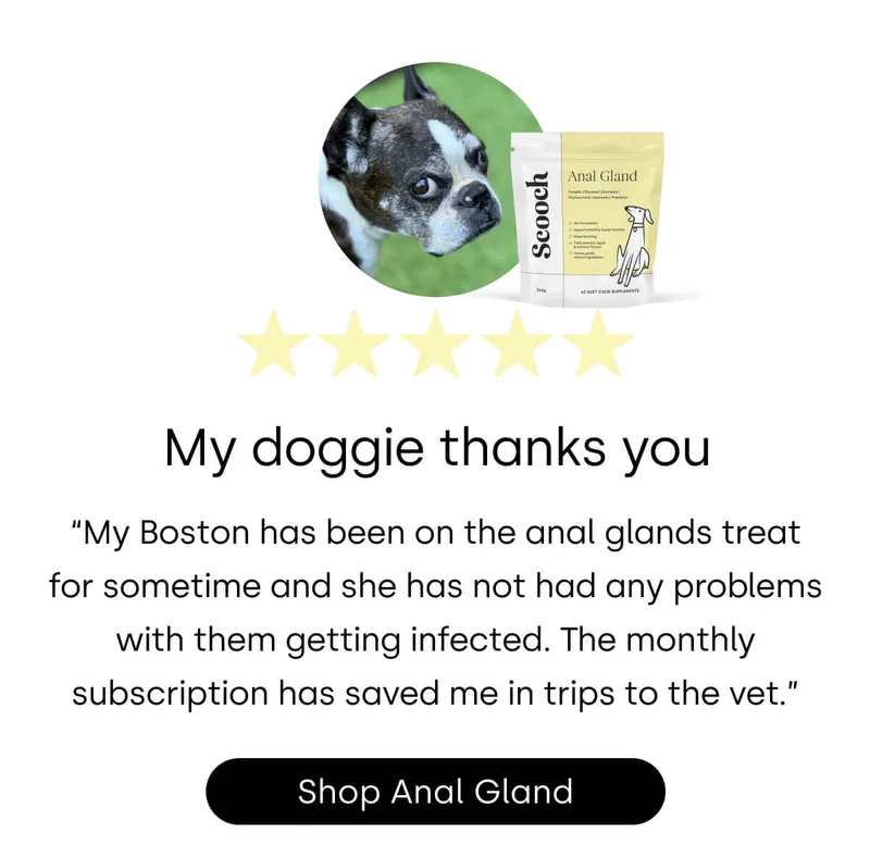 Shop Anal Gland